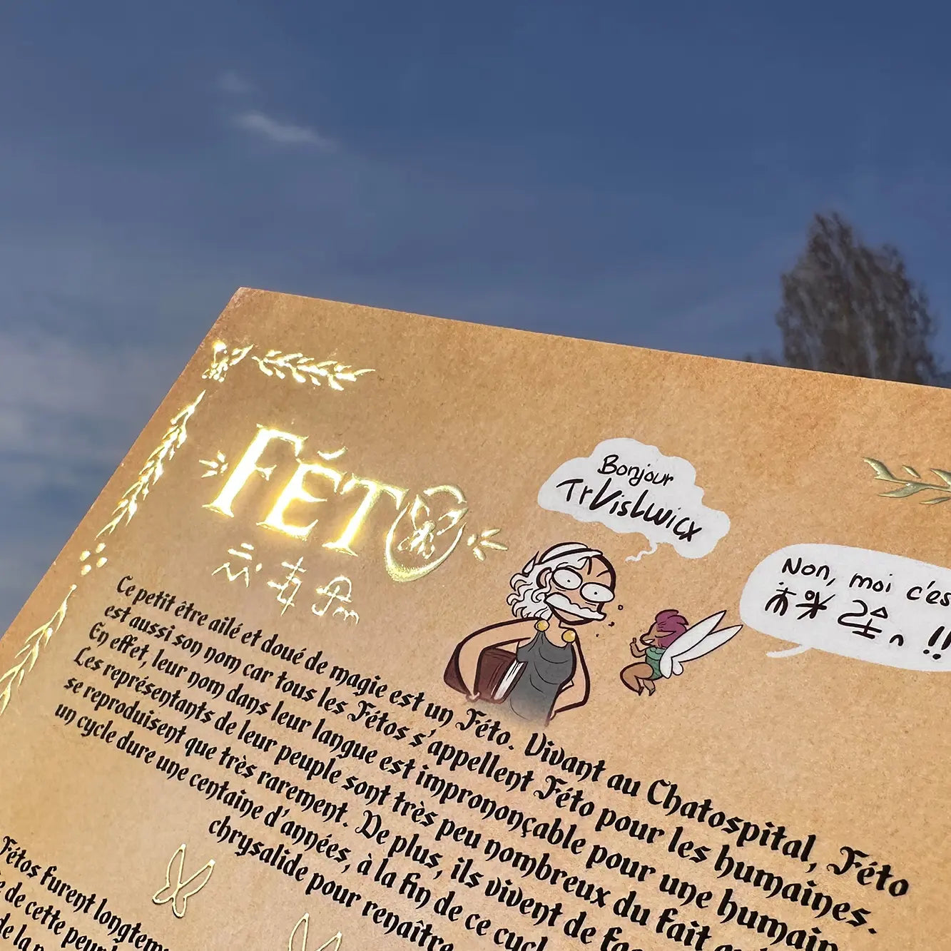 3 fiches découverte codex