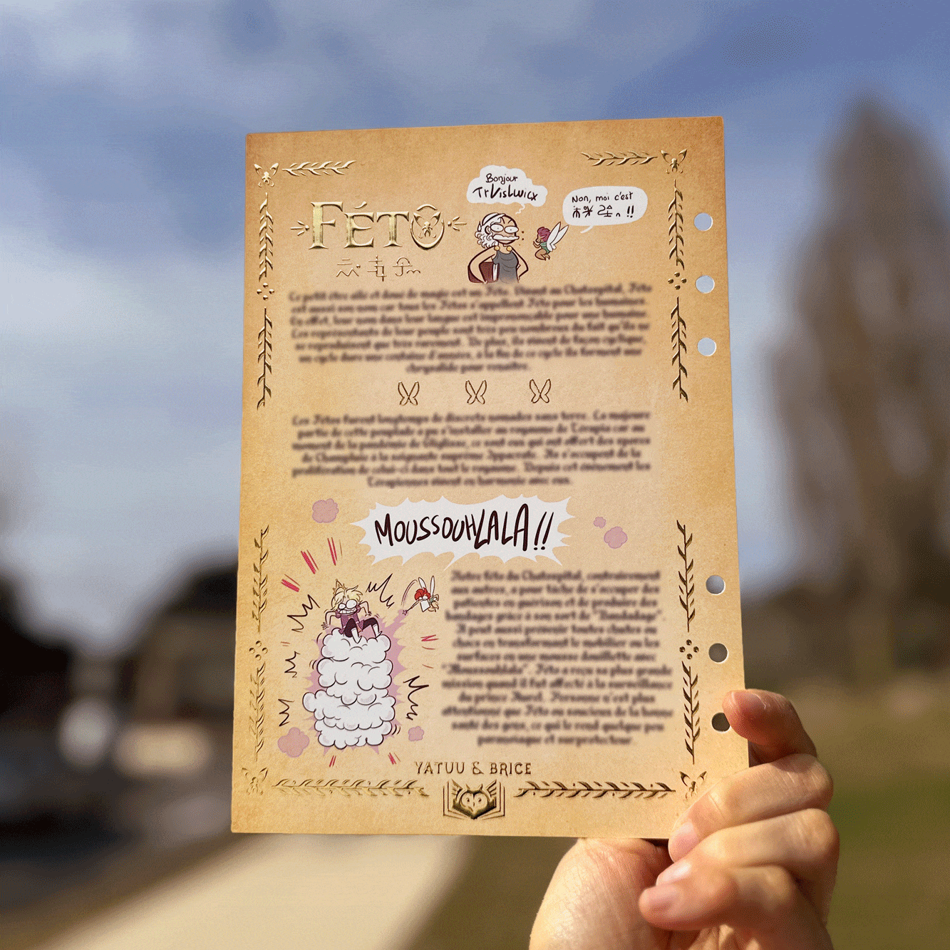 3 fiches découverte codex