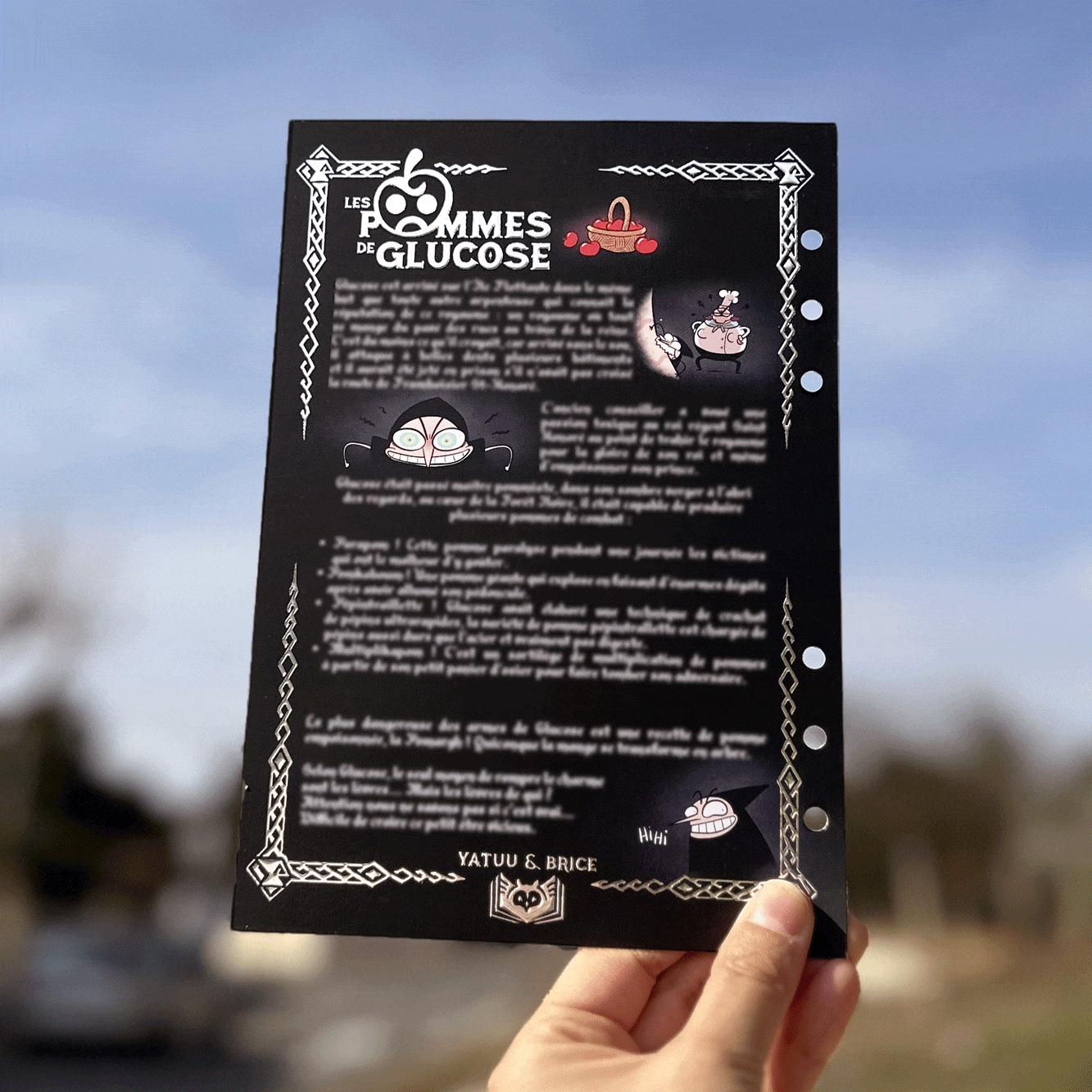2 fiches découverte codex